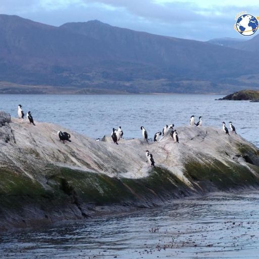 Ushuaia y El Calafate - Mozzafiato Viajes
